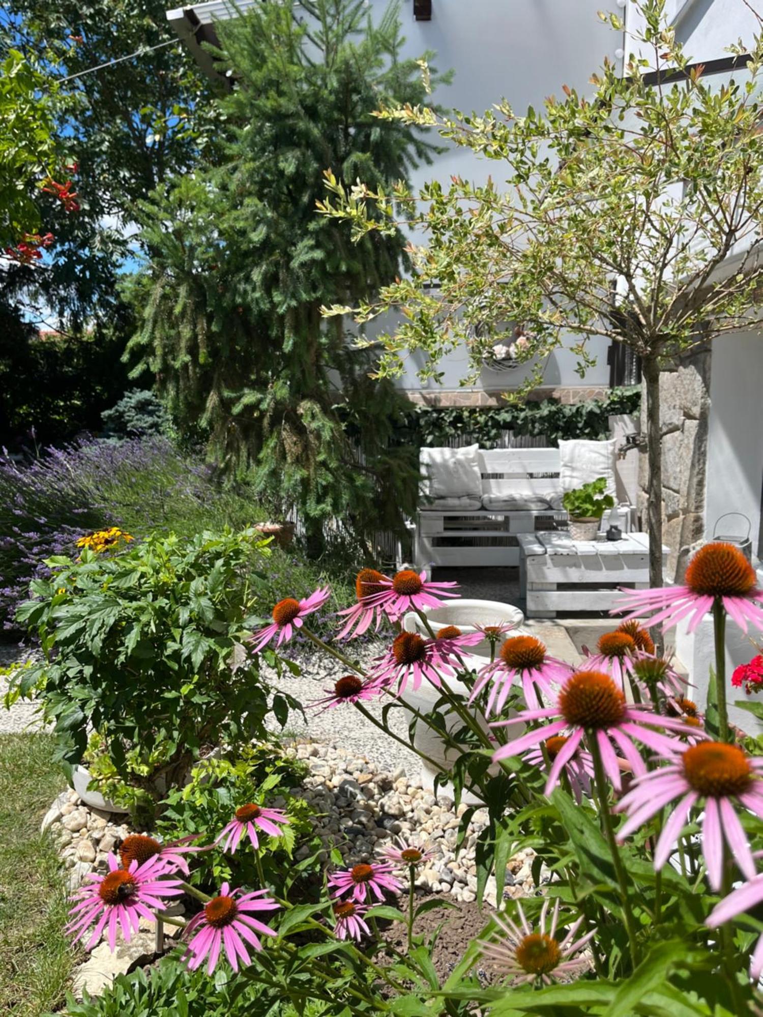 Relaxační studio VERA s UBYTOVÁNÍM Valtice Exterior foto